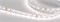 Лента RT 6-5000 24V White-MIX 2x (3528, 120 LED/m, LUX) (Arlight, 9.6 Вт/м, IP20) 025211 - фото 137042
