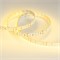 Лента RT 2-5000 24V Yellow 2x2 (3528, 1200 LED, LUX) (Arlight, 19.2 Вт/м, IP20) 008774 - фото 139806