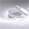 Лента RT 2-4700 24V White6000 20mm (2835, 140 LED/m, LUX) (Arlight, 21.6 Вт/м, IP20) 028111 - фото 141072