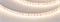Лента FC-A120-8mm 24V Warm3000-CX1 (10 W/m, IP20, 5m) (Arlight, резка 1 светодиод) 052796 - фото 150351