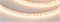 Лента FC-A120-8mm 24V Warm2700-CX1 (10 W/m, IP20, 5m) (Arlight, резка 1 светодиод) 052797 - фото 150361