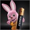 Батарейки Duracell Simply LR03 ААА мизинчиковые (отрывной блистер 2х10 20шт) 5000394145771 - фото 169042