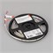 Лента RT-A128-8mm 24V Warm3000 (10 W/m, IP20, 5m) (Arlight, высок.эфф.150 лм/Вт) 038758(1) - фото 169787