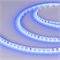 Лента RT-A120-5mm 24V Blue (9.6 W/m, IP20, 2835, 5m) (Arlight, 9.6 Вт/м, IP20) 015660(3) - фото 169976