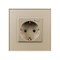 Розетка электрическая с Zigbee управлением SCT-OMALI-EUZB1-PL-GD (240V, 16A, Zigbee) (Arlight, -) 050218 - фото 171080
