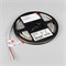 Лента герметичная RTW-SE-A160-8mm 24V Warm2700 (12 W/m, IP65, 5m) (Arlight, 12 Вт/м, IP65) 057506 - фото 175953