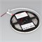 Лента RTW 2-5000SE 12V Cool 2x (5060, 300 LED, LUX) (Arlight, 14.4 Вт/м, IP65) 016845 - фото 175983