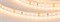 Лента UL-A120-8mm 24V Warm2400 (9.6 W/m, IP20, 5m) (Arlight, 7 лет) 042299 - фото 176250