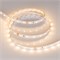 Лента RT 2-5000 24V Warm2700 (3528, 300 LED, LUX) (Arlight, 4.8 Вт/м, IP20) 016145(B) - фото 176262