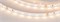 Лента RT 2-5000 24V Warm2700 (3528, 300 LED, LUX) (Arlight, 4.8 Вт/м, IP20) 016145(B) - фото 176265