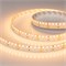 Лента UL-A240-15mm 24V Day-MIX (30 W/m, IP20, 2835, 5m) (Arlight, Изменяемая ЦТ) 057075 - фото 176320