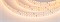 Лента S2-2500 24V Warm 3000K 15mm (2835, 280 LED/m, LUX) (Arlight, 20 Вт/м, IP20) 023398-1 - фото 176385