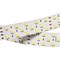Лента RT 2-2500 24V Cool 3x2 (5060, 350 LED, LUX) (Arlight, 38 Вт/м, IP20) 018167-1 - фото 176409