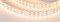 Лента RT 2-5000 24V Warm3000 2x2 (5060, 720 LED, LUX) (Arlight, 34.4 Вт/м, IP20) 025273(1)-2 - фото 176415
