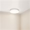 Светильник CL-BOUWER-R250-13W Day4000-MIX (WH, 110 deg, 230V, TRIAC) (Arlight, IP54 Пластик, 5 лет) 054676 - фото 179165