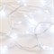 Светодиодная гирлянда ARD-STRING-CLASSIC-10000-CLEAR-100LED-STD WHITE (230V, 7W) (Ardecoled, IP65) 025781-2 - фото 181167