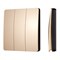 INTELLIGENT ARLIGHT Кнопочная панель KINETIC-801-22-3G-WP-SUF Gold (No battery, IP67, 433Mhz) (IARL, IP67 Пластик, 3 года) 051677-1 - фото 182677