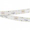 Лента RT 2-4700 24V Warm3000 20mm (2835, 140 LED/m, LUX) (arlight, 21.6 Вт/м, IP20) 028005 - фото 26732
