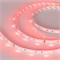 Лента RT 2-5000 12V Red (5060, 150 LED, LUX) (arlight, 7.2 Вт/м, IP20) 010599 - фото 32652