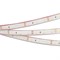 Лента RTW 2-5000PGS 12V Cool (3528, 300 LED, LUX) (arlight, 4.8 Вт/м, IP67) 016839 - фото 41730