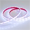 Лента RTW 2-5000PGS 12V Cool (3528, 300 LED, LUX) (arlight, 4.8 Вт/м, IP67) 016839 - фото 41732