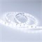Лента RTW 2-5000SE 12V Cool (3528, 300 LED, LUX) (arlight, 4.8 Вт/м, IP65) 016836(B) - фото 41882