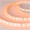 Лента RT 2-5000 12V Orange (3528, 300 LED, LUX) (arlight, 4.8 Вт/м, IP20) 013568 - фото 42150