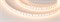 Лента RT 6-5050-96 24V Warm2700 3x (480 LED) (arlight, 23 Вт/м, IP20) 017425 - фото 42409