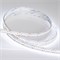 Лента RT6-3528-240 24V White6000 4x (1200 LED) (arlight, 19.2 Вт/м, IP20) 017430 - фото 42473