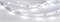 Лента RT 2-5000 24V White6000 0.5x (3528, 150 LED, LUX) (arlight, 2.9 Вт/м, IP20) 019917 - фото 42510