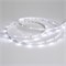 Лента RT 2-5000 24V White6000 0.5x (3528, 150 LED, LUX) (arlight, 2.9 Вт/м, IP20) 019917 - фото 42513