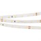Лента RT 2-5000 24V Warm3000 (2835, 300 LED, PRO) (arlight, 7.2 Вт/м, IP20, 5m) 020014(B) - фото 42950