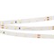 Лента RT 2-5000 24V Warm3000 (2835, 300 LED, PRO) (arlight, 7.2 Вт/м, IP20, 5m) 020014(B) - фото 42955