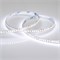 Лента RT6-3528-180 24V White6000 3x (900 LED) (arlight, 14.4 Вт/м, IP20) 017429 - фото 43012