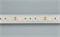 Лента RT 6-5050-96 24V Day4000 3x (480 LED) (arlight, 23 Вт/м, IP20) 017424 - фото 43464
