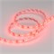 Лента RTW 2-5000SE 12V Red (3528, 300 LED, LUX) (arlight, 4.8 Вт/м, IP65) 015417 - фото 43522