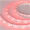 Лента RT 2-5000 12V Red (5060, 150 LED, LUX) (arlight, 7.2 Вт/м, IP20) 010599 - фото 43993