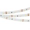 Лента RT 2-5000 12V Warm2700 (3528, 300 LED, LUX) (arlight, 4.8 Вт/м, IP20) 010597(B) - фото 44322
