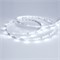 Лента RT 2-5000 24V Cool 8K 0.5x (3528, 150 LED, LUX) (arlight, 2.9 Вт/м, IP20) 019916 - фото 45063