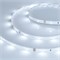 Лента RT 2-5000 24V Cool 8K 0.5x (3528, 150 LED, LUX) (arlight, 2.9 Вт/м, IP20) 019916 - фото 45066