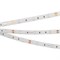 Лента RTW 2-5000SE 12V Yellow (5060, 150 LED, LUX) (arlight, 7.2 Вт/м, IP65) 016509 - фото 45225