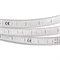 Лента ARL-W5060PG-54-220V Green (540 LED, 10m) 020453 - фото 45285