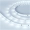 Лента RT 2-5000 12V Cool (5630, 150 LED, LUX) (arlight, 7.2 Вт/м, IP20) 019730 - фото 45333