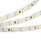 Лента RT 2-5000 36V White 2X (5060, 300 LED, LUX) 2000000240596 - фото 45587