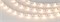 Лента RZ 2-5000 12V Warm2700 2x (5060, 240 LED, Wave) (arlight, 11.5 Вт/м, IP20) 018210 - фото 45671