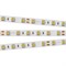 Лента RT 2-5000 24V White6000 2x (5060, 300 LED, LUX) (arlight, 14.4 Вт/м, IP20) 008829(B) - фото 45971