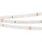 Лента RT 2-5000 24V Day White (2835, 300 LED, PRO) 2000000243580 - фото 46133