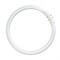 Лампа FC 22/ 830  2GX13 225mm 3000K -   OSRAM 4050300528489 - фото 48591