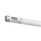 SYLVANIA    F30W/T8/CORALSTAR G13 d26x890 СНЯТО! 0000725 - фото 49007