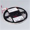 Лента RT 2-5000 12V Pink 2X (3528, 600 LED, LUX) (arlight, 9.6 Вт/м, IP20) 015897(2) - фото 50416